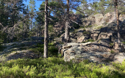 Radtour zum Hummelviks Naturreservat