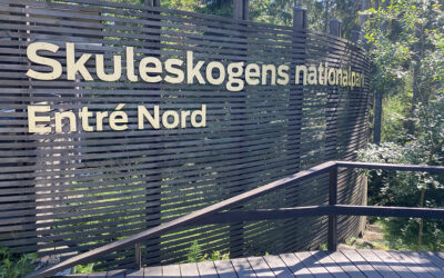 Skuleskogen Nationalpark und weiter zum See Öravattnet